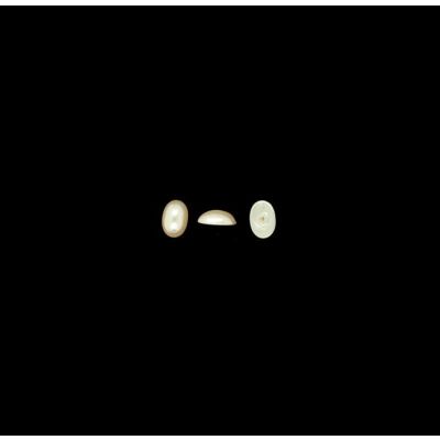 Perla Japonesa Media Perforacion Cultura 14x10mm. Venta por 12 Unidades