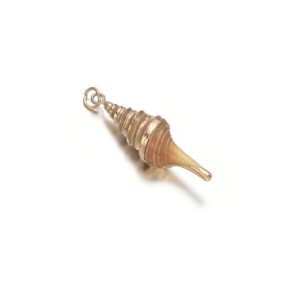 Dije 30mm Concha Turritella Natural – Caracol Espiral Alargado. Venta por Unidad