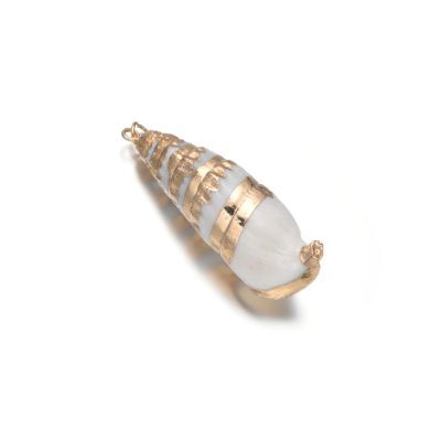 Dije 40-45mm Concha Turritella Natural con Baño Dorado. Venta por Unidad