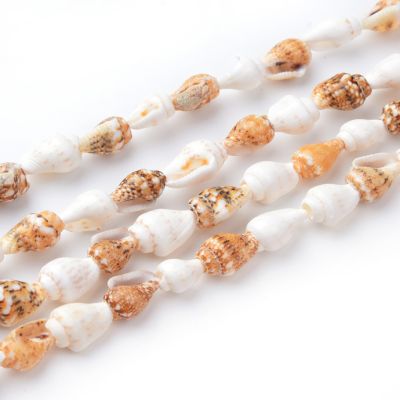 Mini Conchas 8mm Cónicas Naturales – Cone Shell. Collar de 75cms