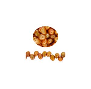 Perla Cultivada Nugget Hoja Dorado PC43 PE0113 4.5-5mm. Sarta por 40cms